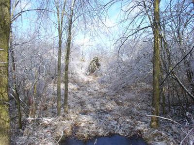 Earnhardt Road Coldwater, MI 49036 - Photo 1 of 4 Primary Photo
