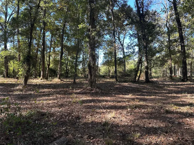 a view of outdoor space with trees