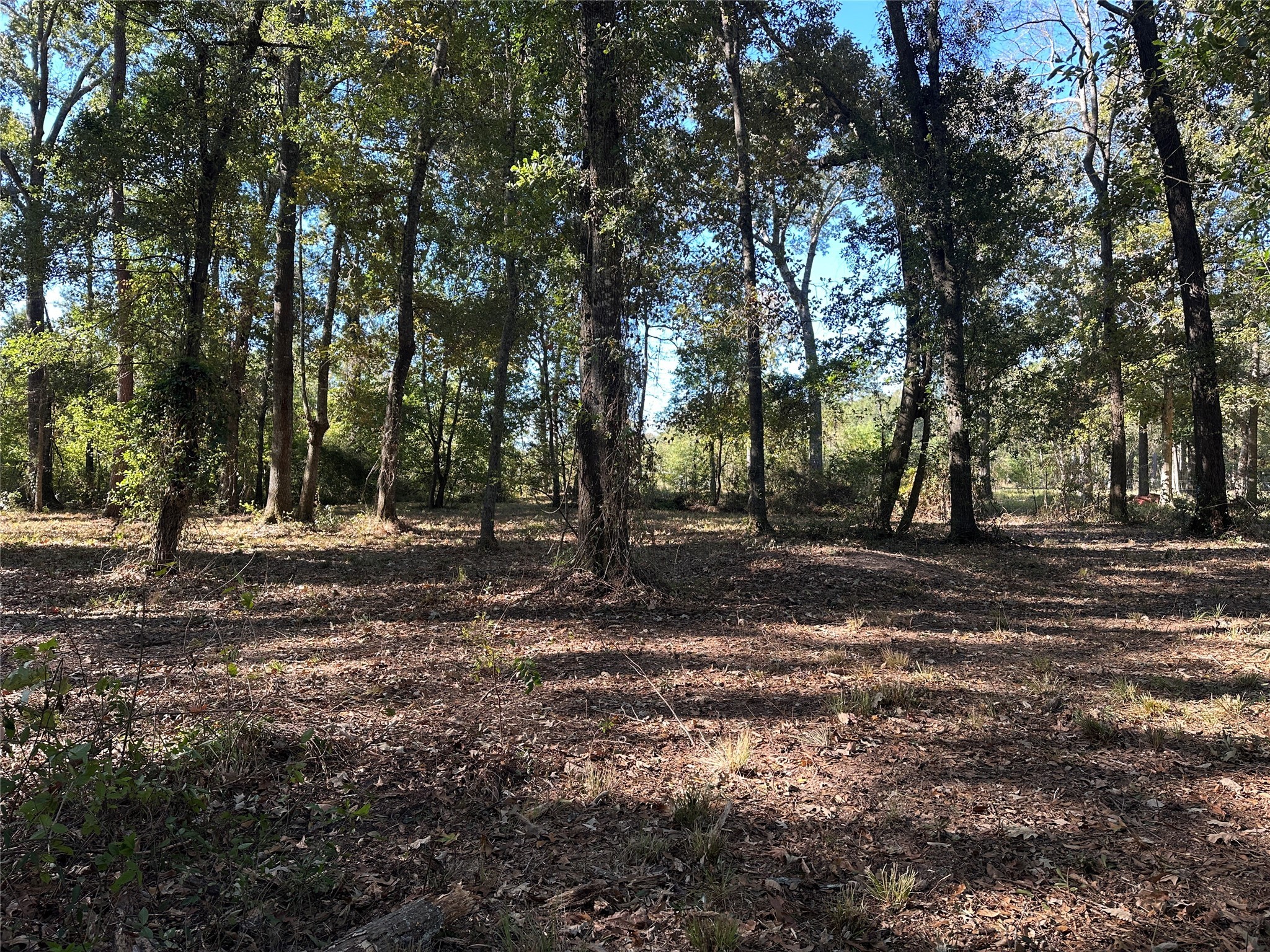 a view of outdoor space with trees