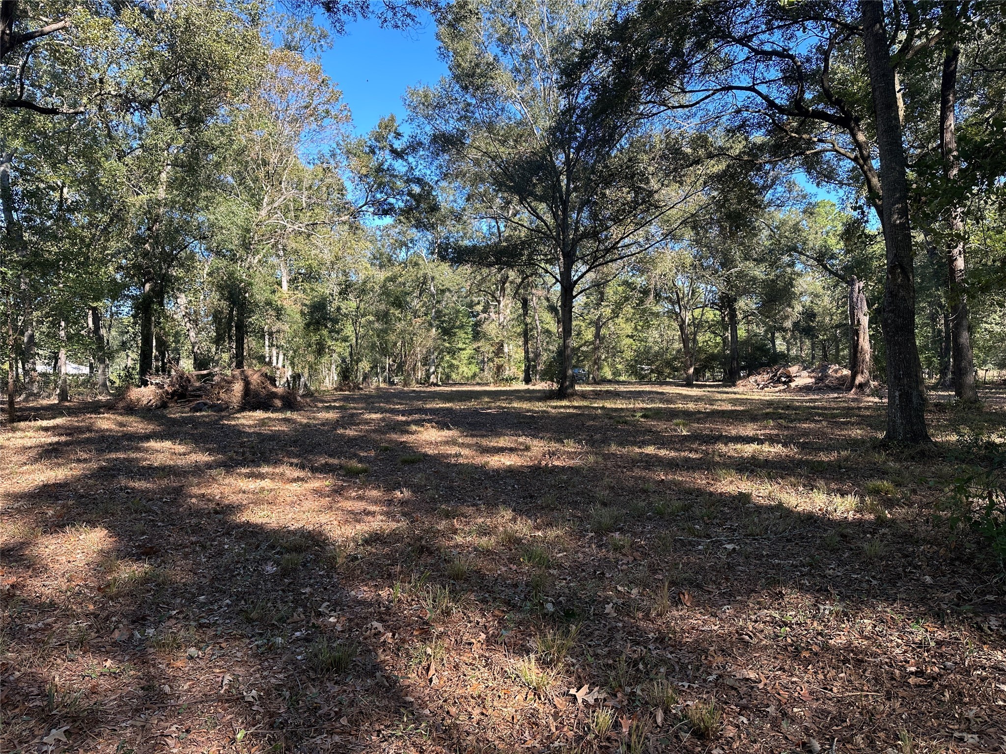 27316 Frye Road Splendora, TX 77372 - Photo 2 of 7 a view of outdoor space with trees