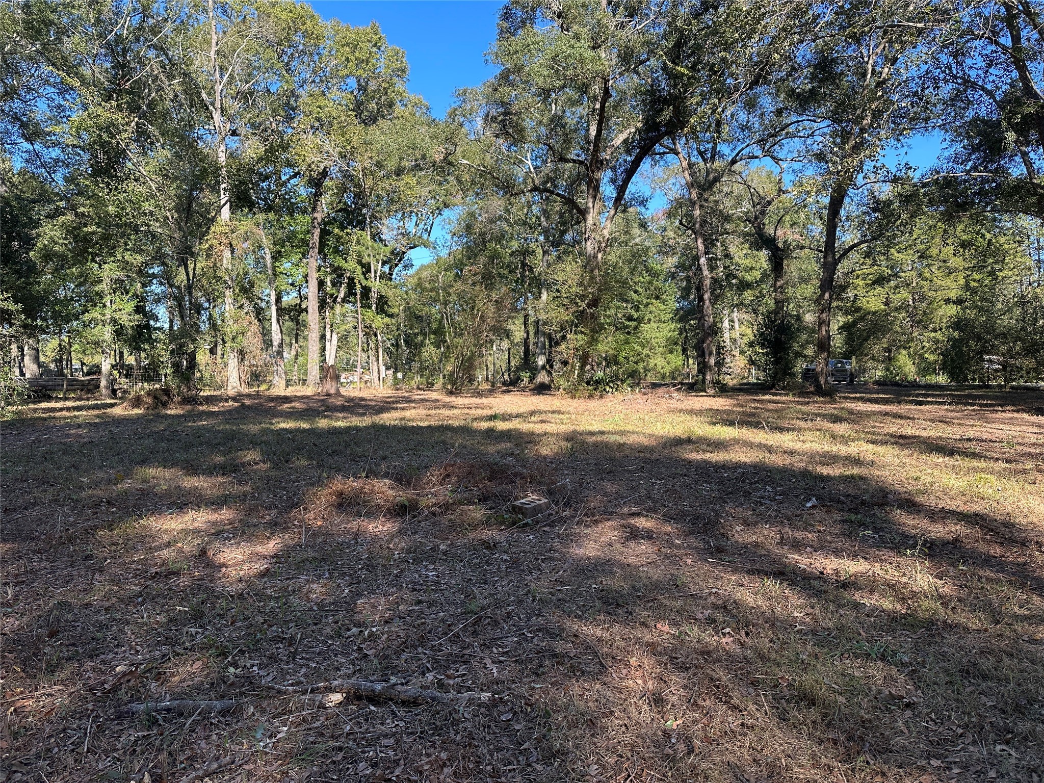 27316 Frye Road Splendora, TX 77372 - Photo 4 of 7 a view of a yard with a tree
