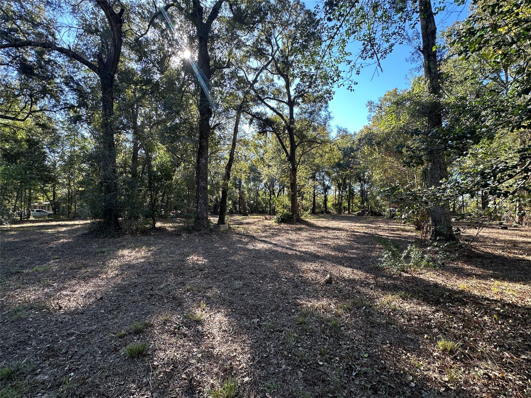 27316 Frye Road Splendora, TX 77372 - Photo 6 of 7 a view of outdoor space with trees