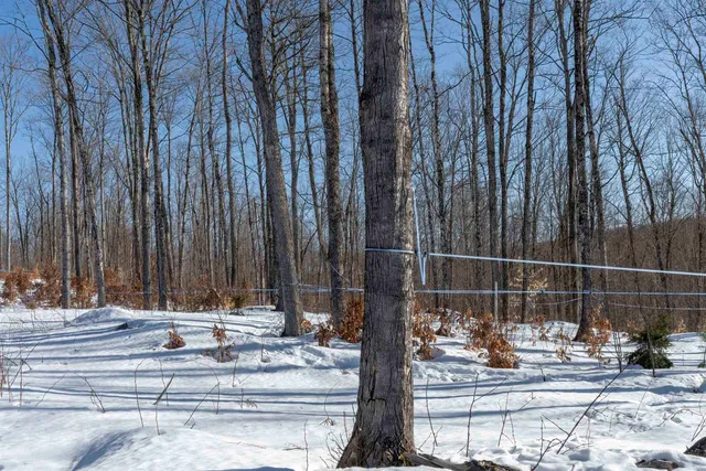 $595,000 | 0 Town Hill Road, Wolcott, VT 05680