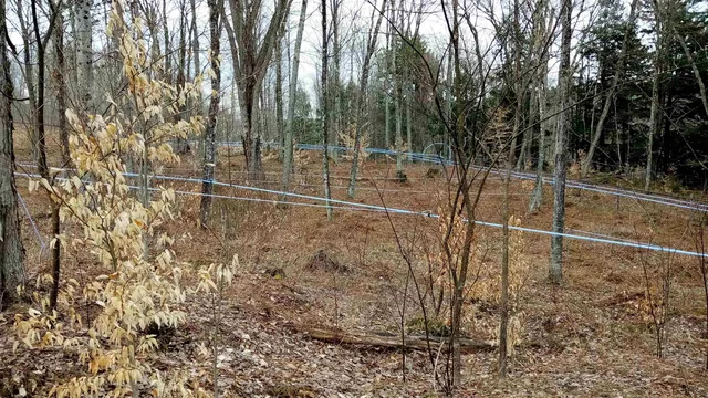 $595,000 | 0 Town Hill Road, Wolcott, VT 05680