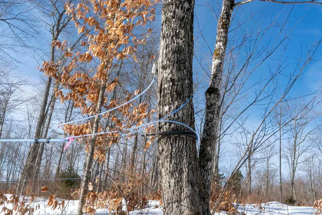 $595,000 | 0 Town Hill Road, Wolcott, VT 05680