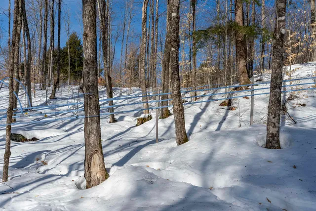 $595,000 | 0 Town Hill Road, Wolcott, VT 05680