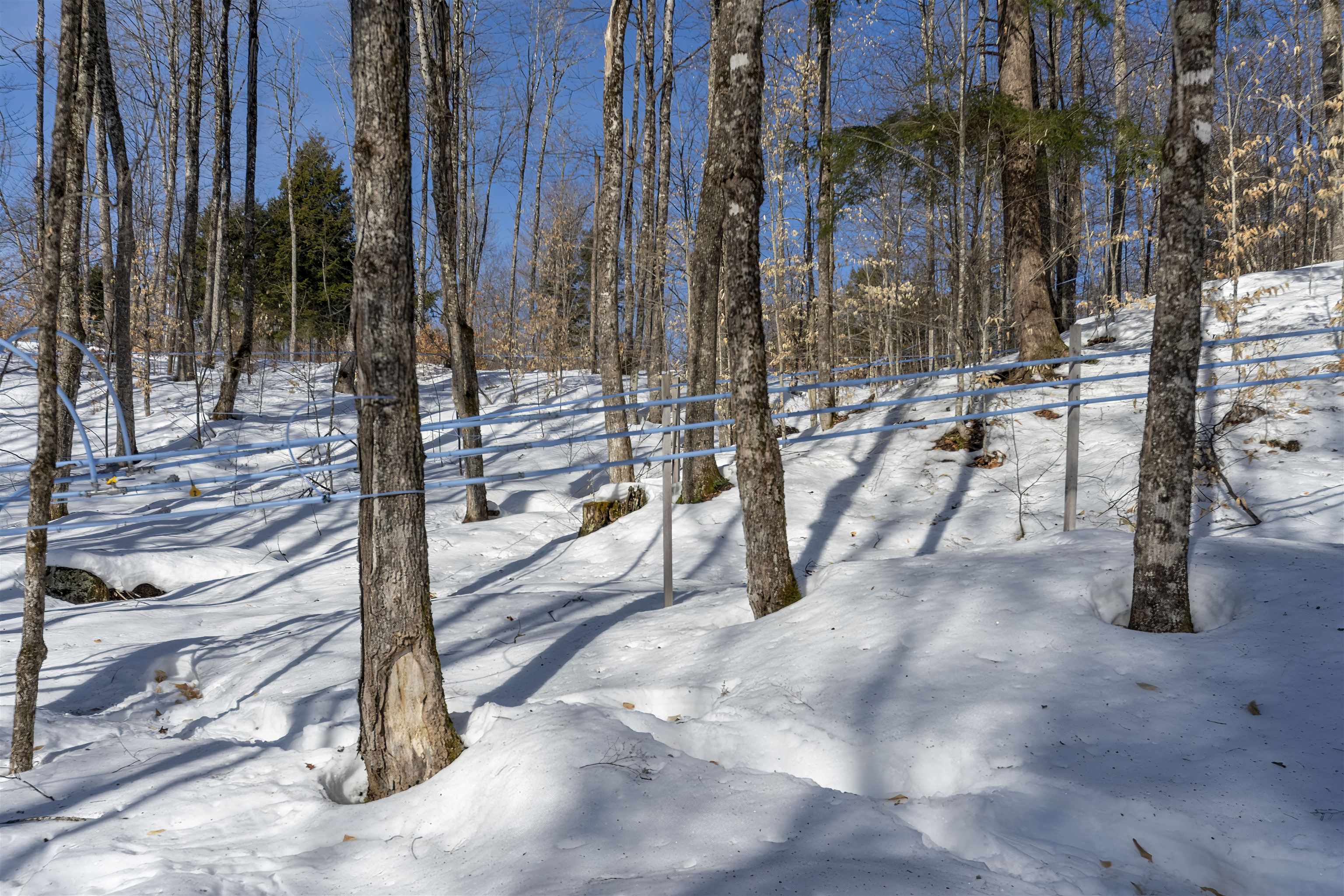 0 Town Hill Road Wolcott, VT 05680 - Photo 6 of 6