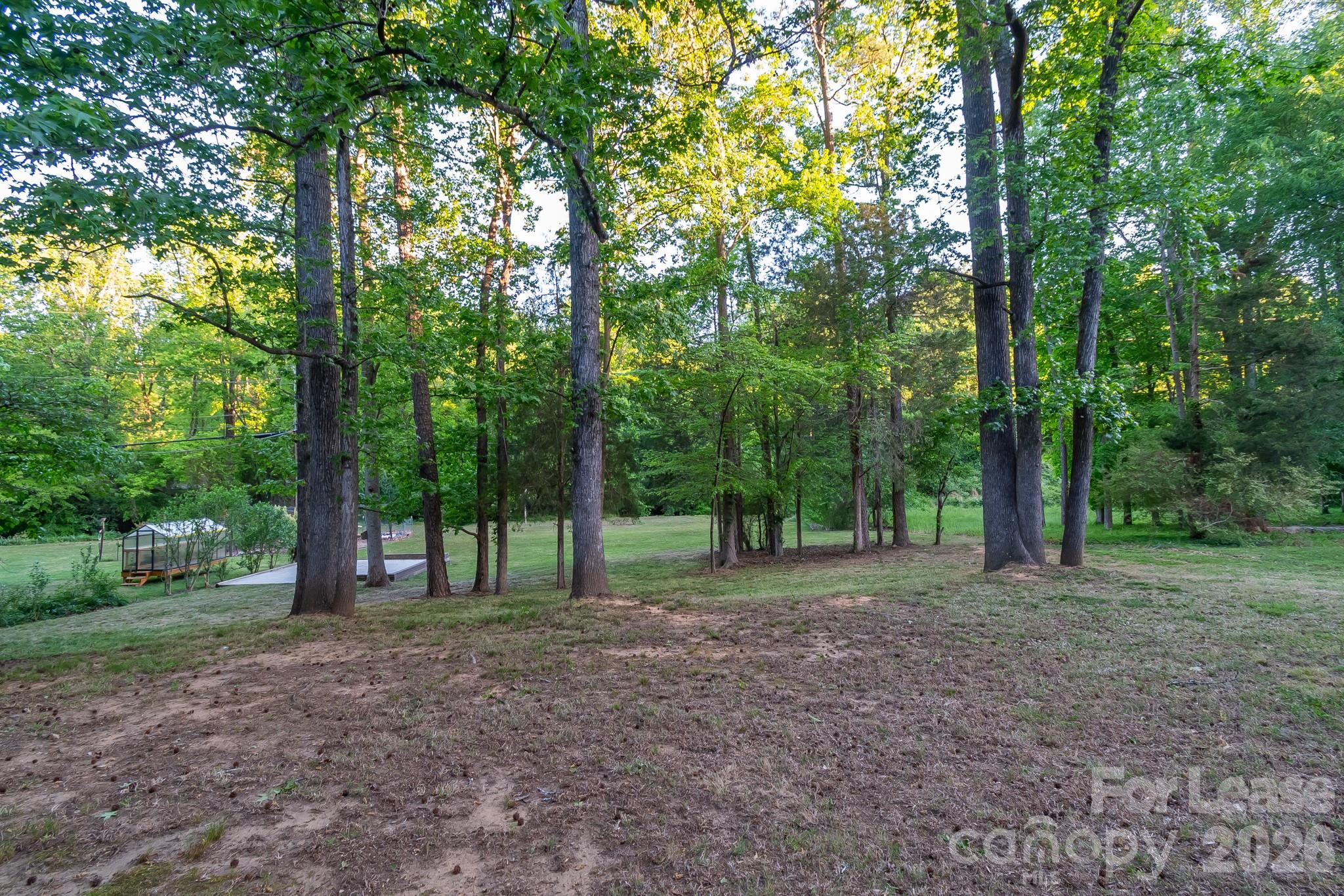 3917 Singletree Road Mint Hill, NC 28227 - Photo 22 of 47 a view of outdoor space with tree s