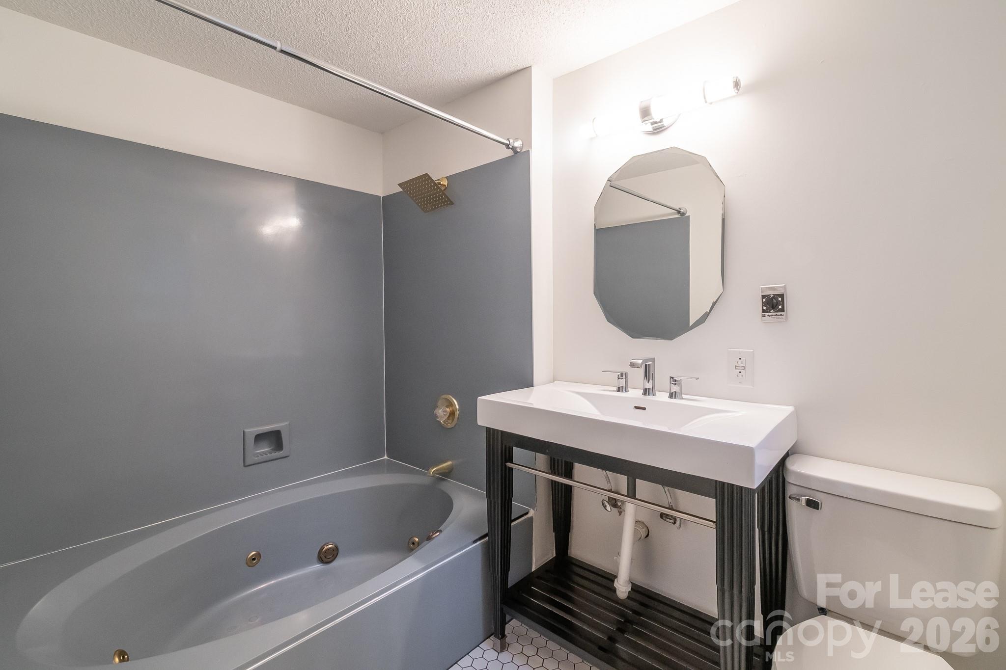 3917 Singletree Road Mint Hill, NC 28227 - Photo 47 of 47 a bathroom with a sink a bathtub and a mirror