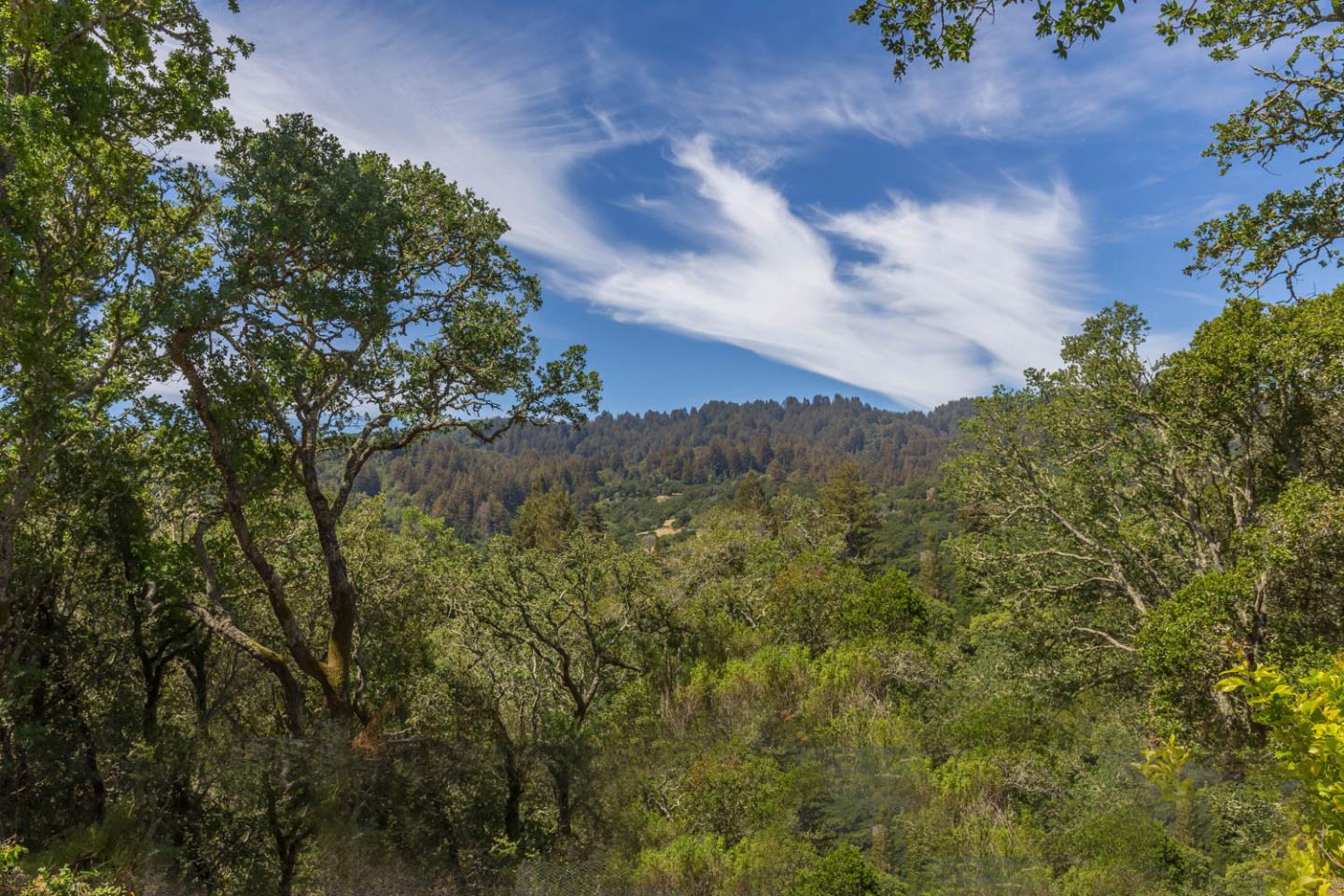 110 Farm Road Woodside, CA 94062 - Photo 5 of 21 a view of a city with lush green forest