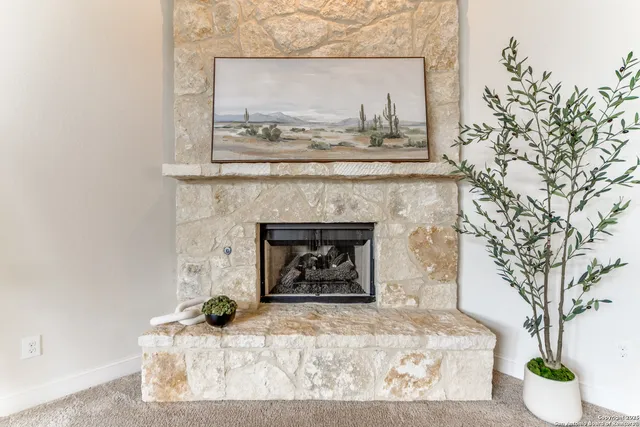 $3,300 | 233 Branson Falls Drive, Boerne, TX 78006