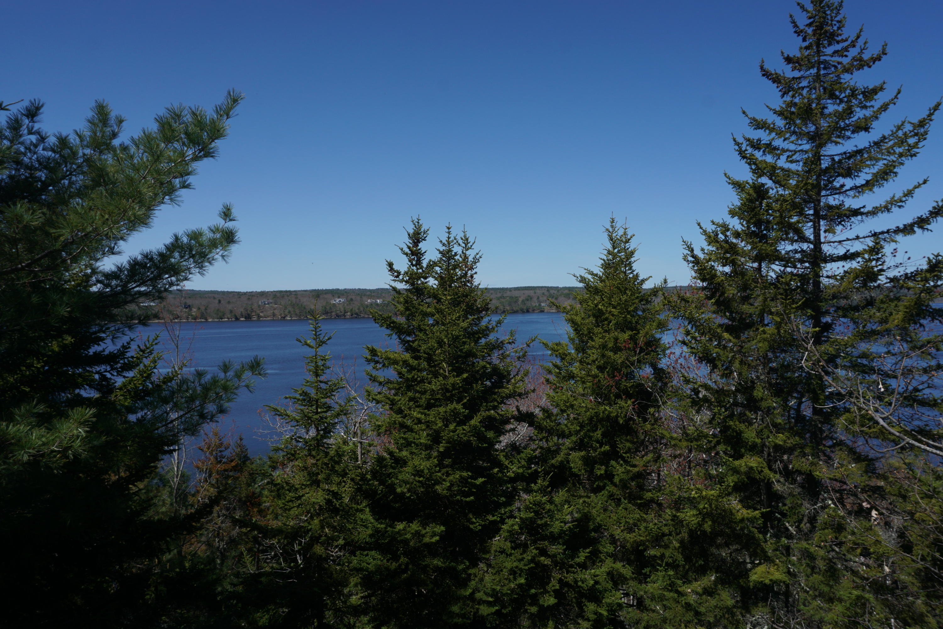 Lot 6 Rotunda Hill Road Georgetown, ME 04548 - Photo 16 of 23 DSC02343
