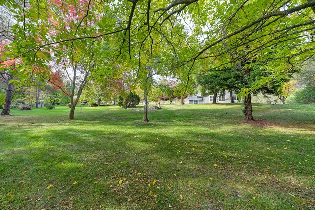 a view of a park with large trees
