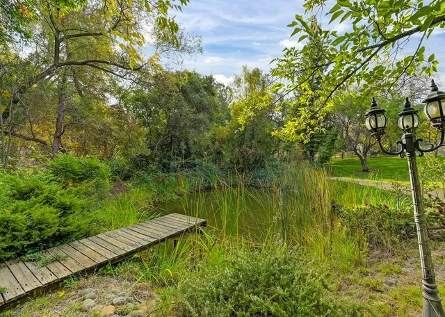 a big yard with lots of green space and trees