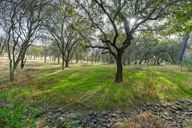 a view of swimming pool with a trees
