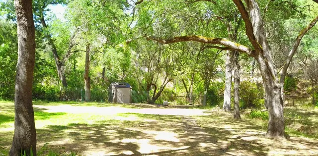 a view of yard with green space