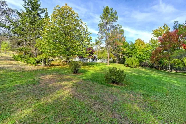 a view of outdoor space with trees