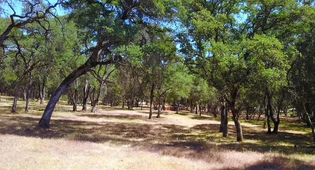 an aerial view of a house with a yard and garden