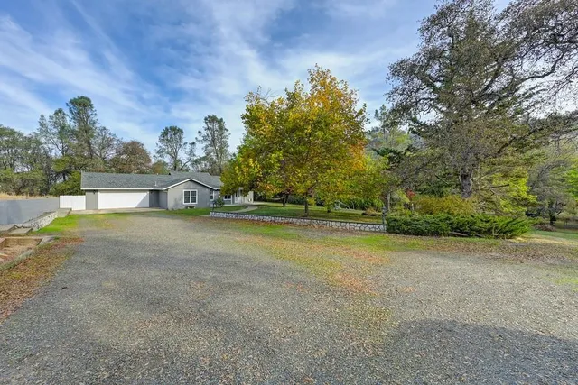 a view of a field with trees