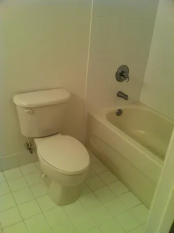 a bathroom with a toilet and a bathtub
