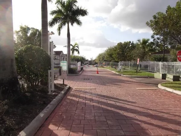 a view of a park with large trees