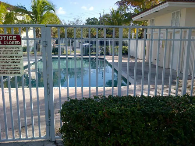 a view of a backyard with potted plants and palm trees