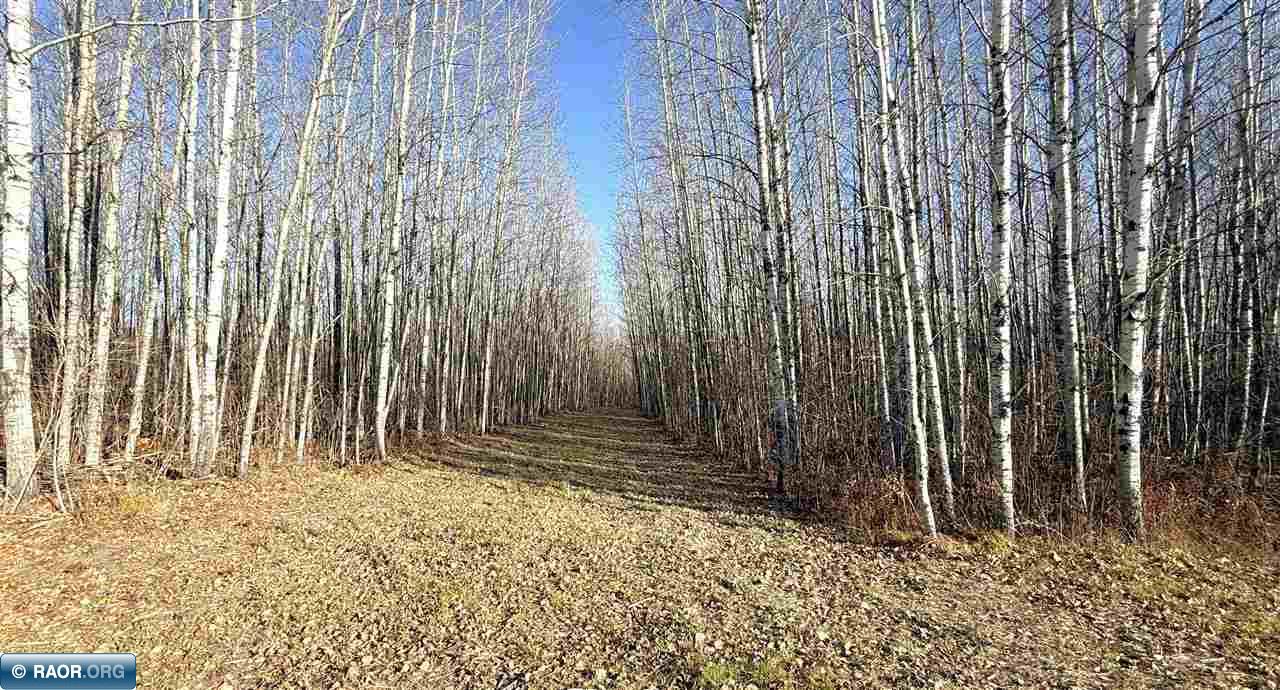 11680 Co Road Orr, MN 55771 - Photo 15 of 23