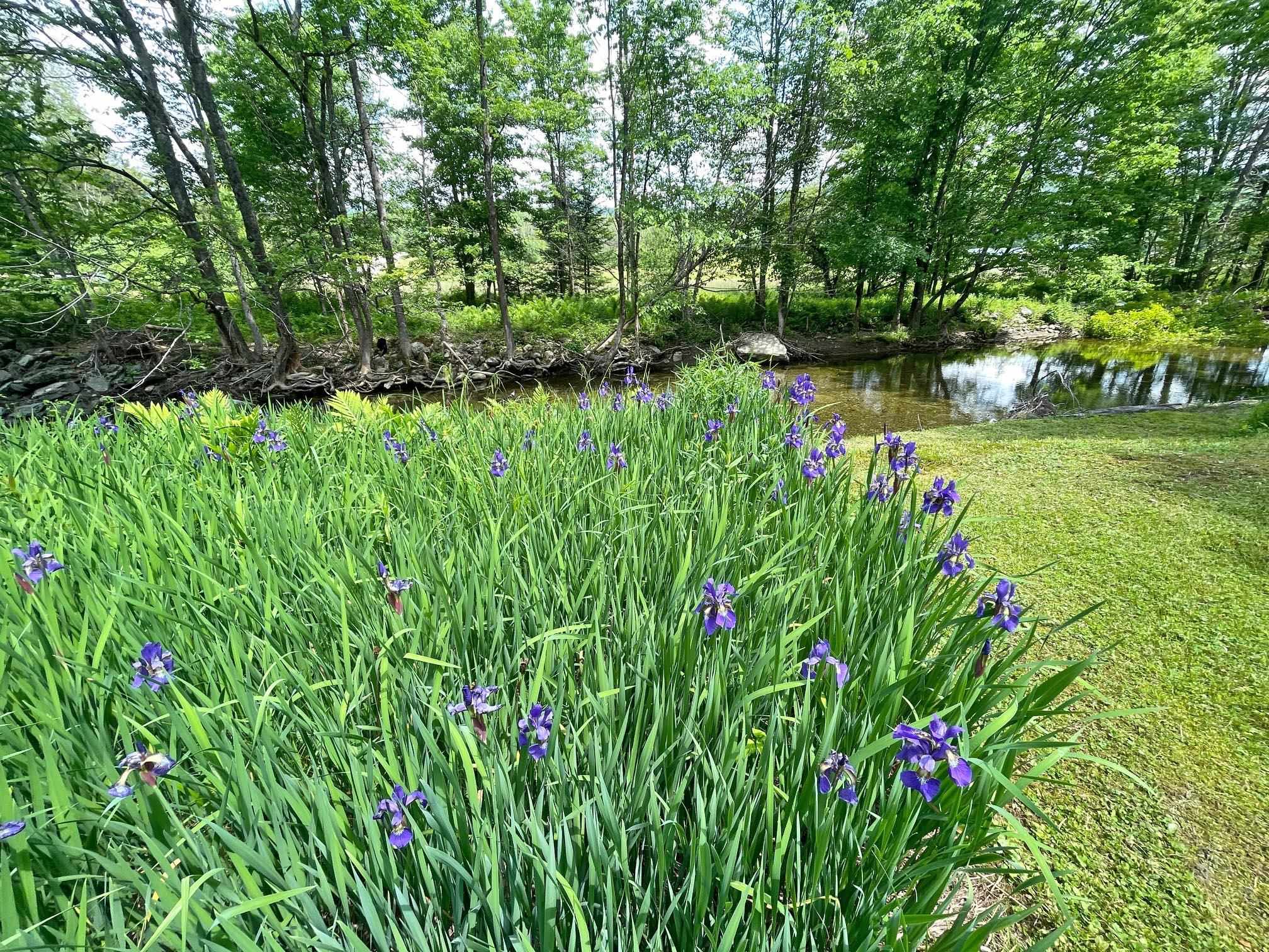 4296 Center Fayston Road Fayston, VT 05660 - Photo 42 of 48