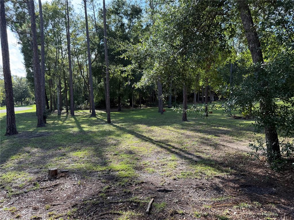 20840 Southwest 88th Place Road Dunnellon, FL 34431 - Photo 37 of 50 Gallery Image 37