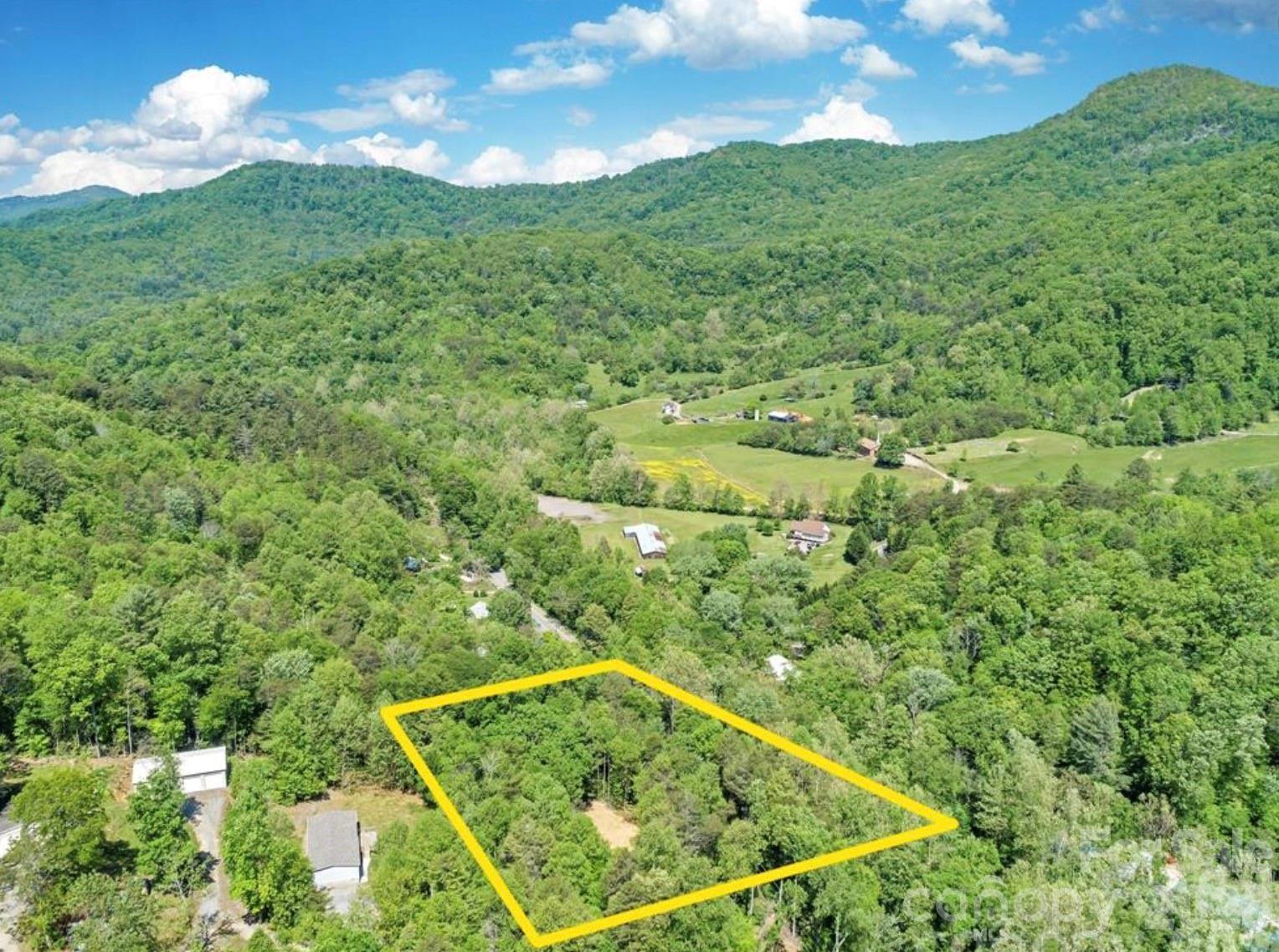 1127 Bee Tree Road Swannanoa, NC 28778 - Photo 1 of 6 a view of a yard