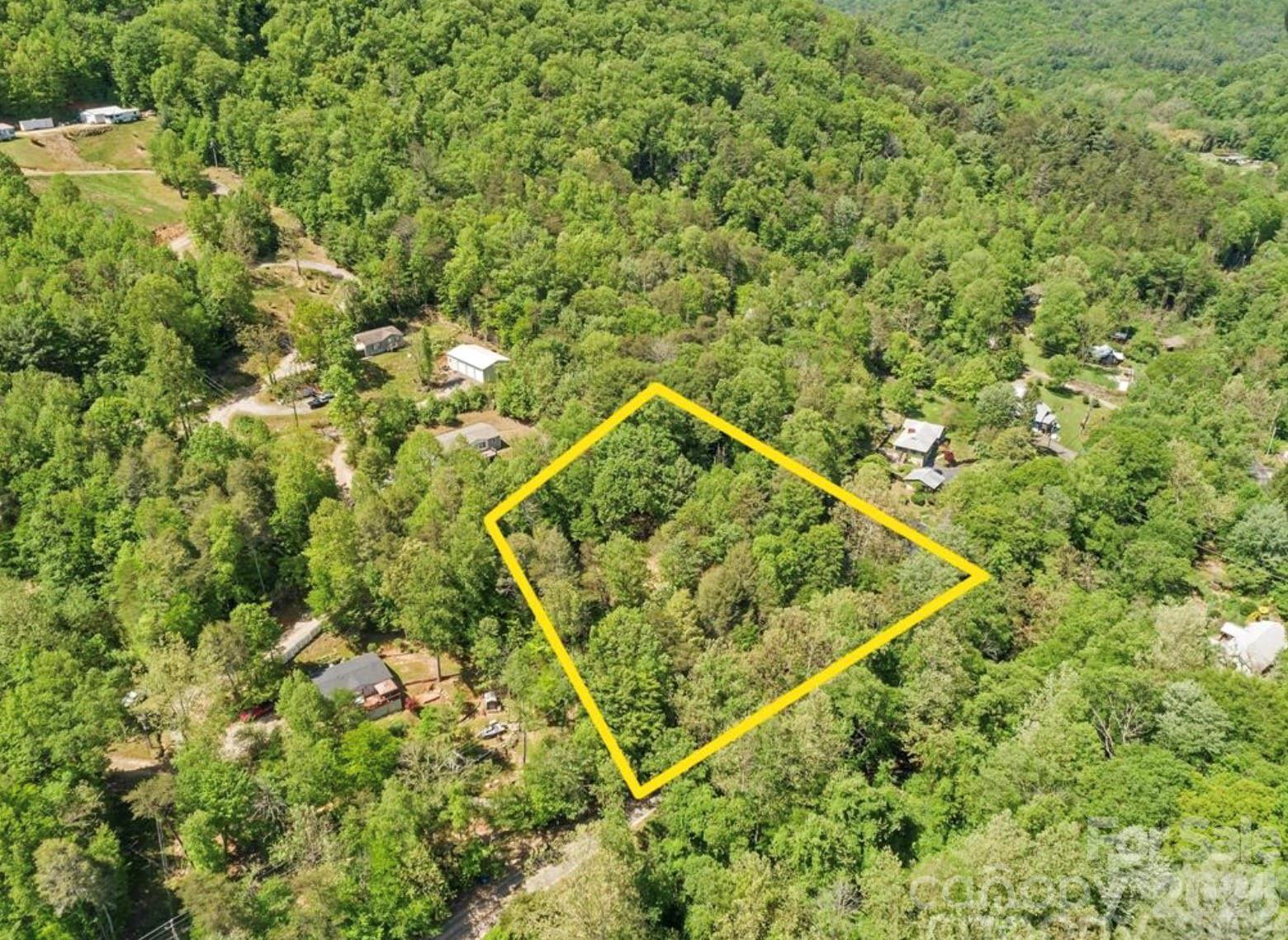 1127 Bee Tree Road Swannanoa, NC 28778 - Photo 2 of 6 a view of a backyard of a house with a tree