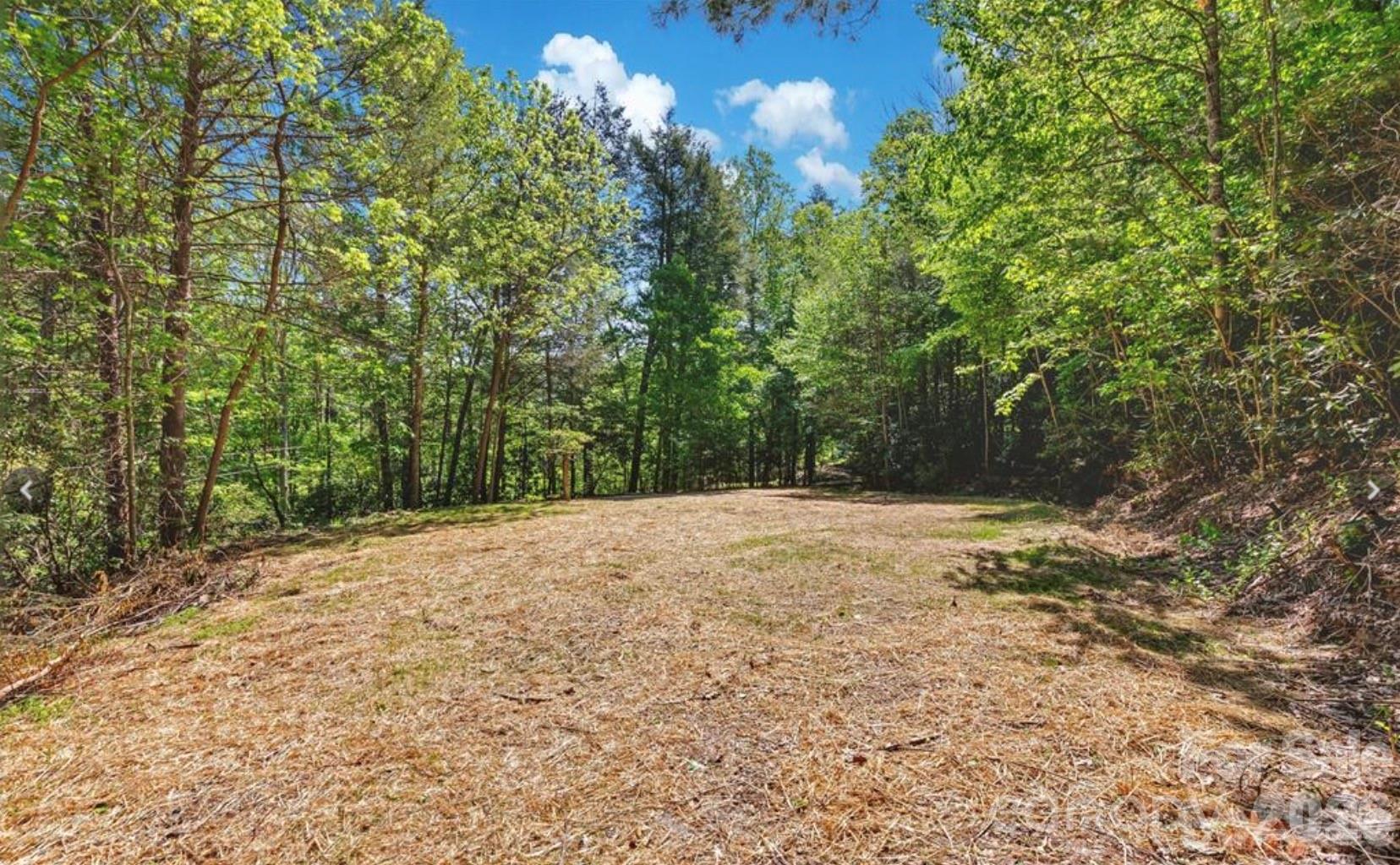 1127 Bee Tree Road Swannanoa, NC 28778 - Photo 3 of 6 a view of a yard with a tree
