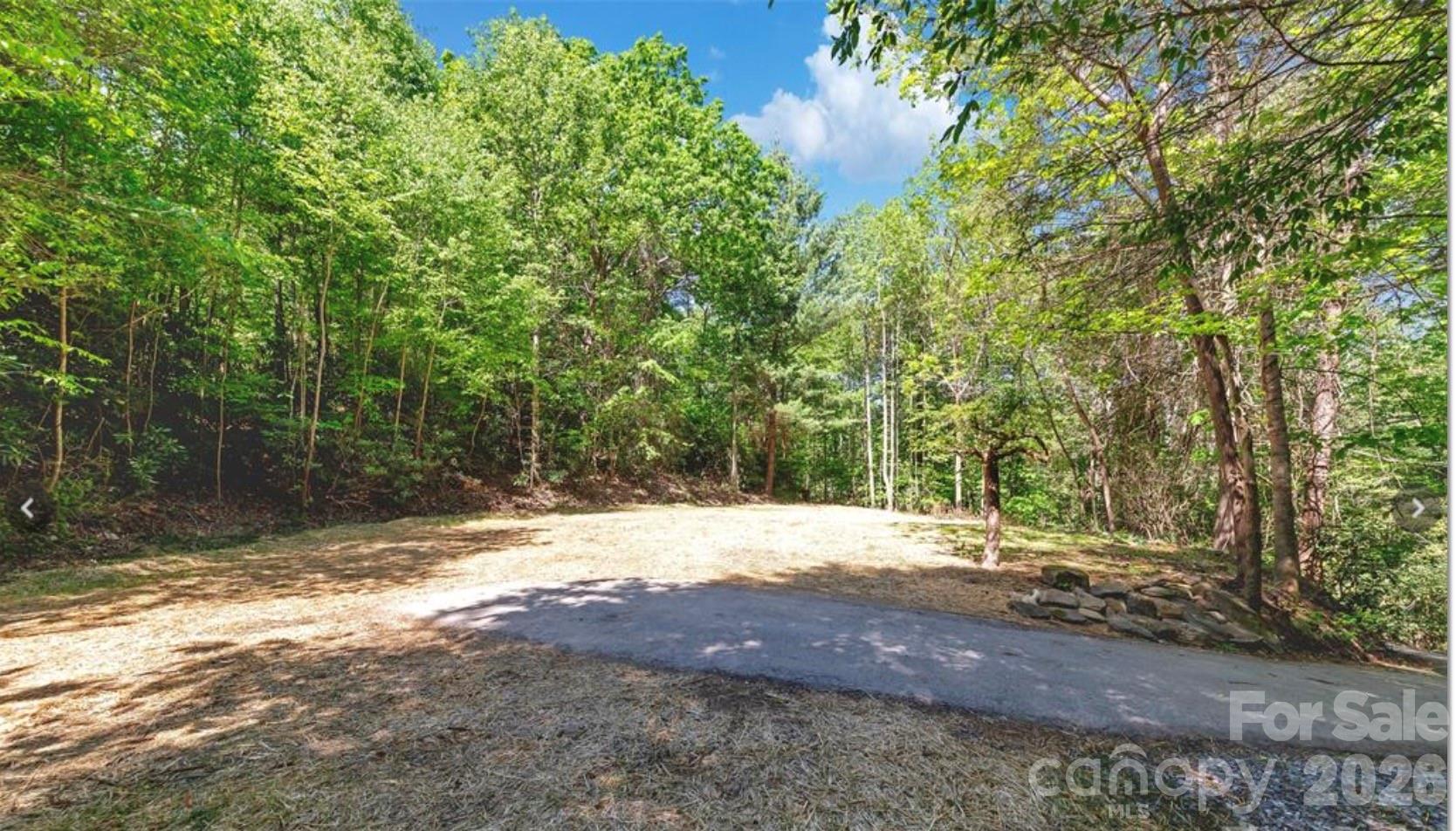 1127 Bee Tree Road Swannanoa, NC 28778 - Photo 5 of 6 a view of a yard with plants and trees