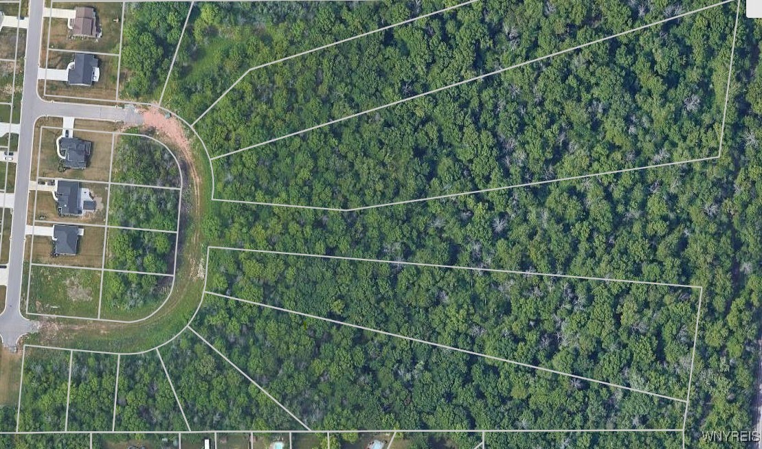 588 Oak Run Drive Lewiston, NY 14092 - Photo 2 of 10