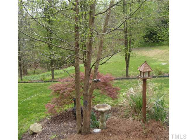 3809 La Costa Way Raleigh, NC 27610 - Photo 22 of 25 a view of an outdoor space with a lake view