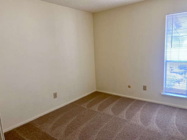 9229 Imogene Street, Unit 9229 Houston, TX 77036 - Photo 3 of 24