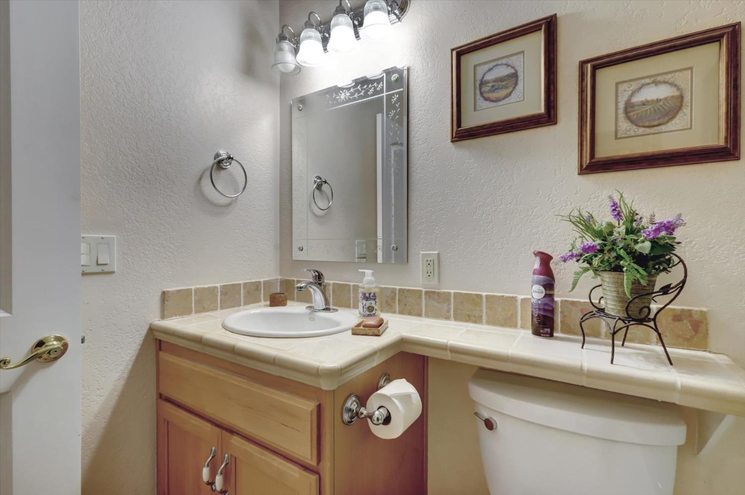 17036 Alice Way Grass Valley, CA 95949 - Photo 32 of 58 a bathroom with a sink and a mirror
