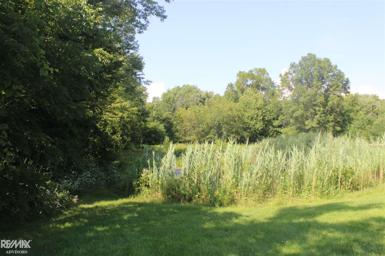 7160 Angling Road Marine City, MI 48039 - Photo 40 of 52