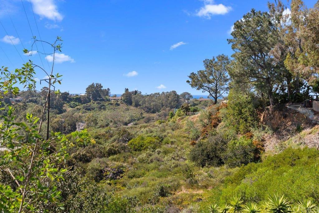 1645 Noma Lane Encinitas, CA 92024 - Photo 46 of 50