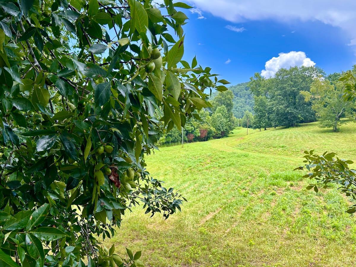 0 Stewartsville Road Vinton, VA 24179 - Photo 56 of 64