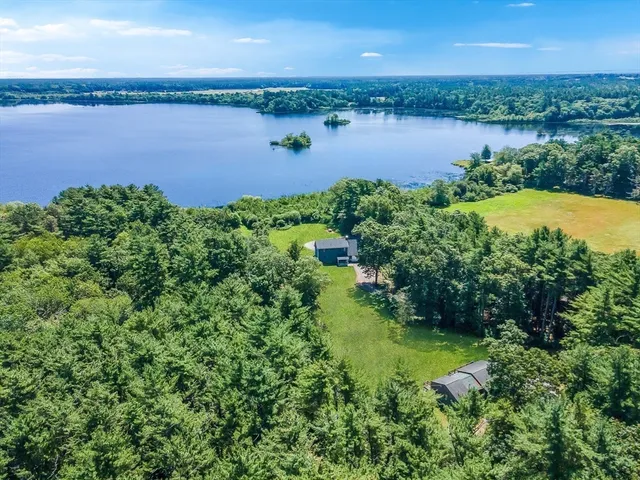a view of a lake with plants and large trees