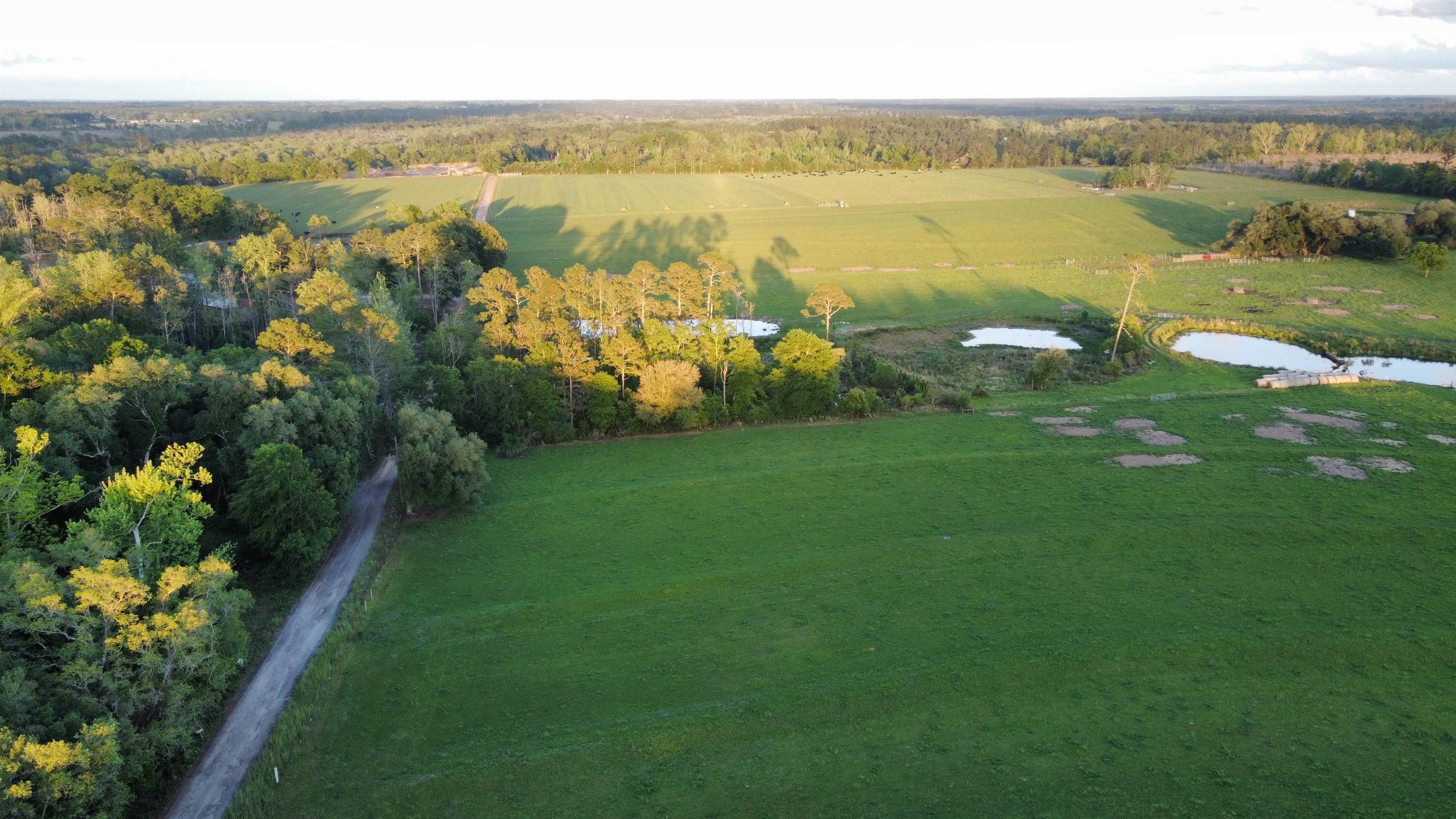 21860 Bengston Road Robertsdale, AL 36567 - Photo 2 of 15
