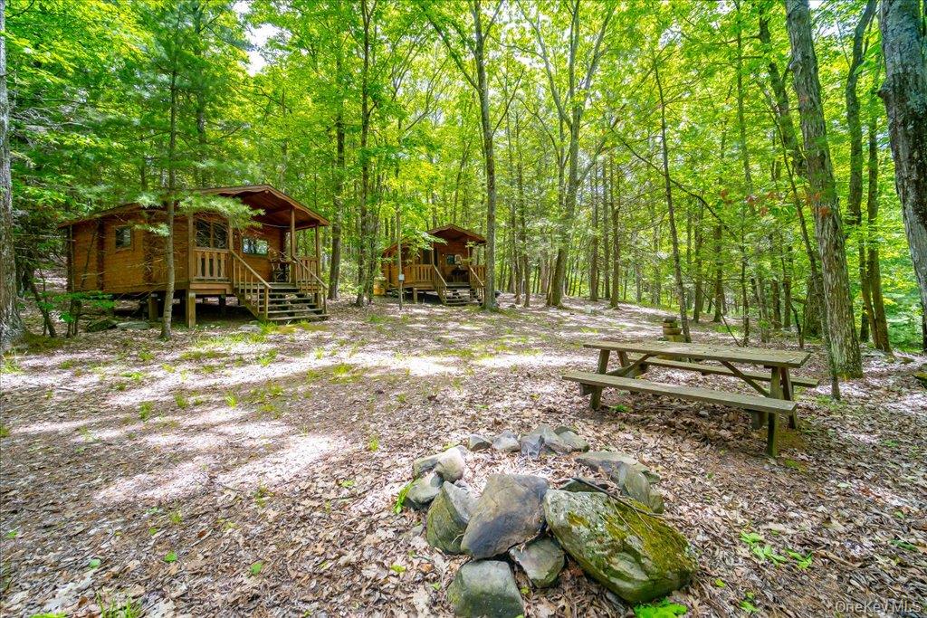 101 Red Star Road Greenfield Park, NY 12435 - Photo 2 of 50