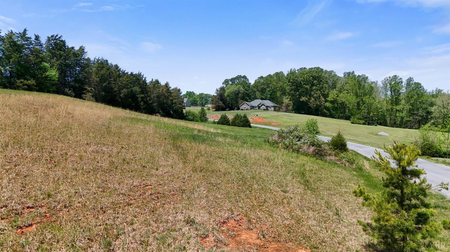 0 Arrington Drive Evington, VA 24550 - Photo 12 of 19 a view of a field with trees in background