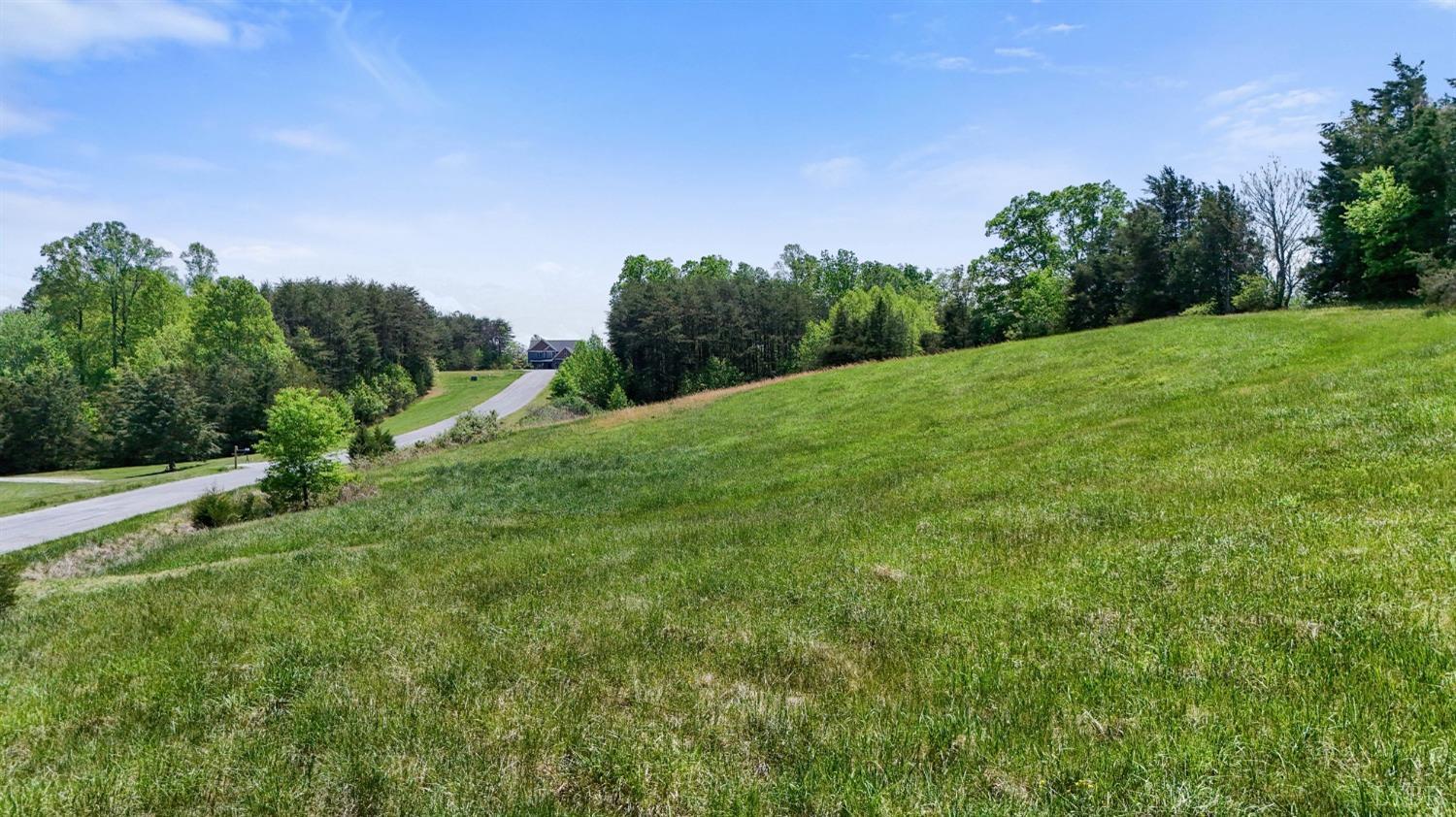 0 Arrington Drive Evington, VA 24550 - Photo 13 of 19 a view of a grassy field with trees in the background