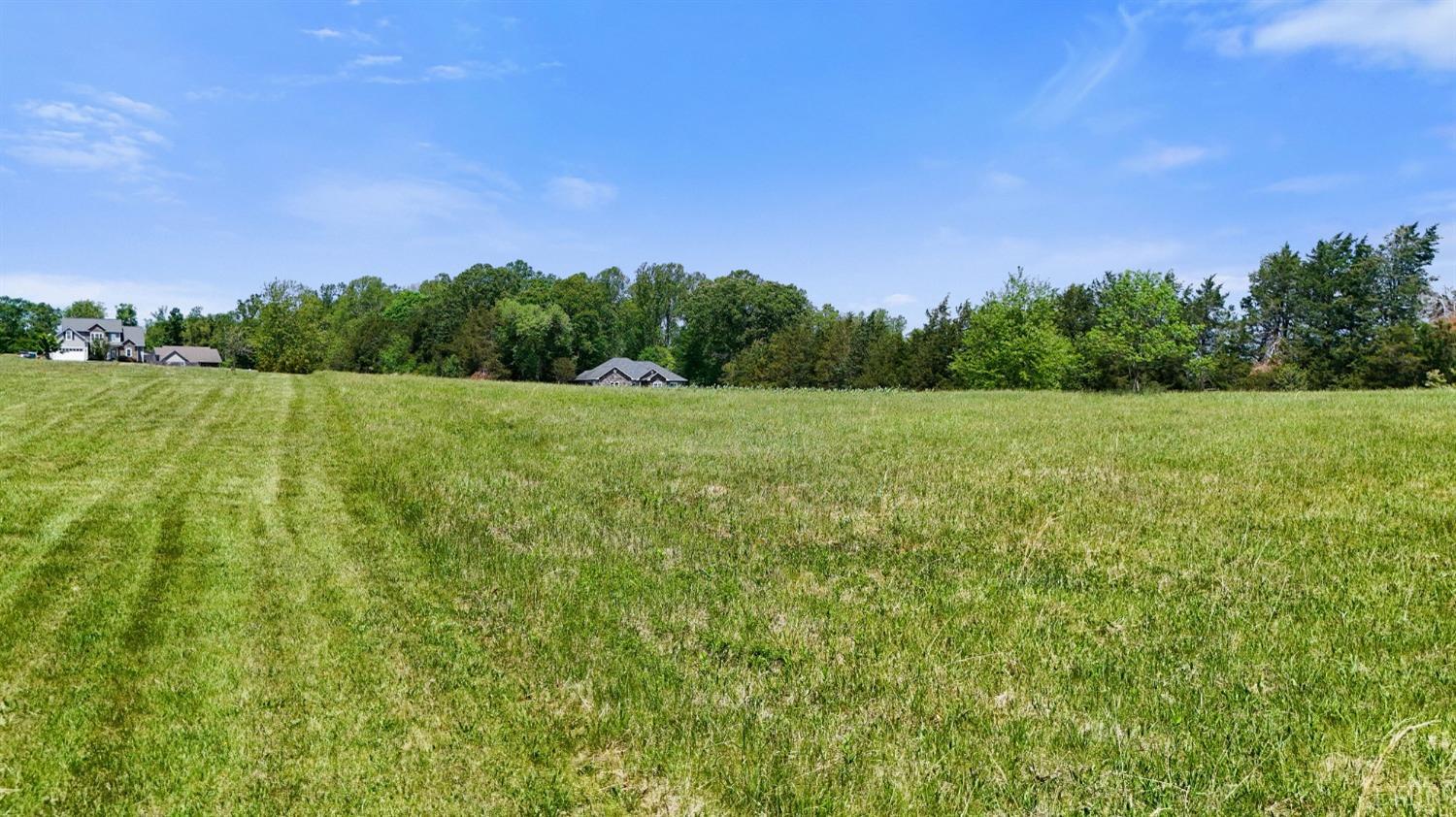 0 Arrington Drive Evington, VA 24550 - Photo 16 of 19 a view of a green field with trees in the background