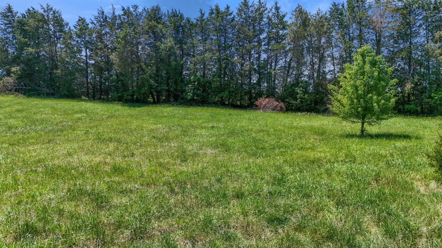 0 Arrington Drive Evington, VA 24550 - Photo 17 of 19 a view of yard with green space