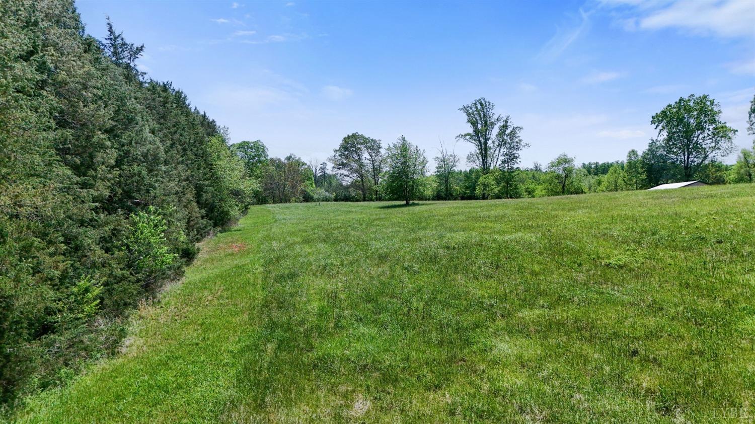 0 Arrington Drive Evington, VA 24550 - Photo 18 of 19 a view of a grassy field with trees in the background