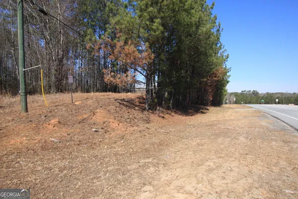 a view of empty room with trees