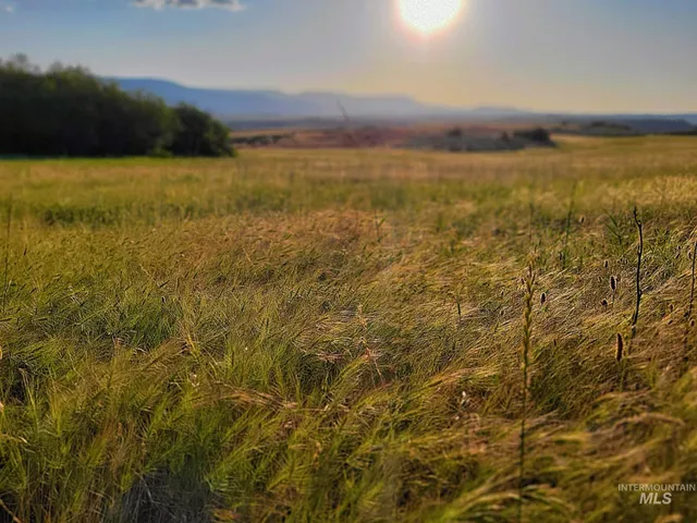 $550,000 | 95 Council Id 83612, Council, ID 83612